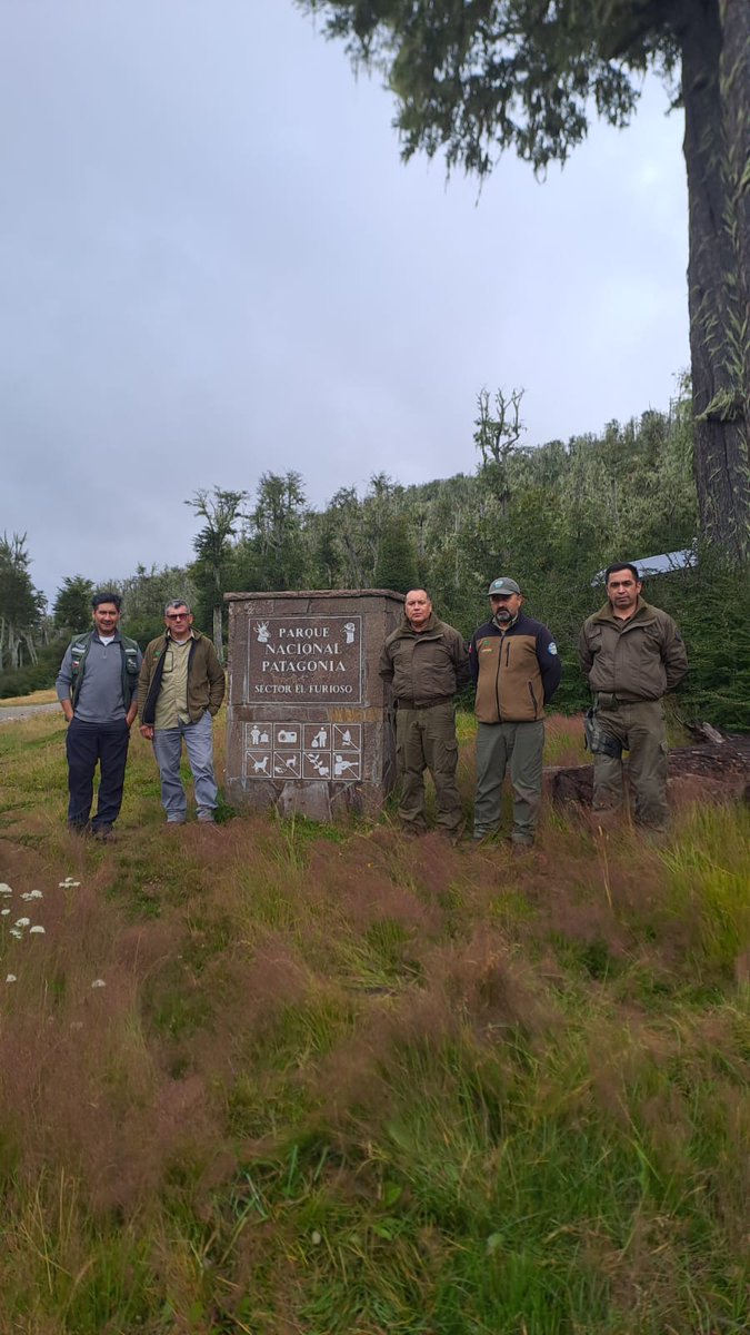 CONAF Aysén tweet media