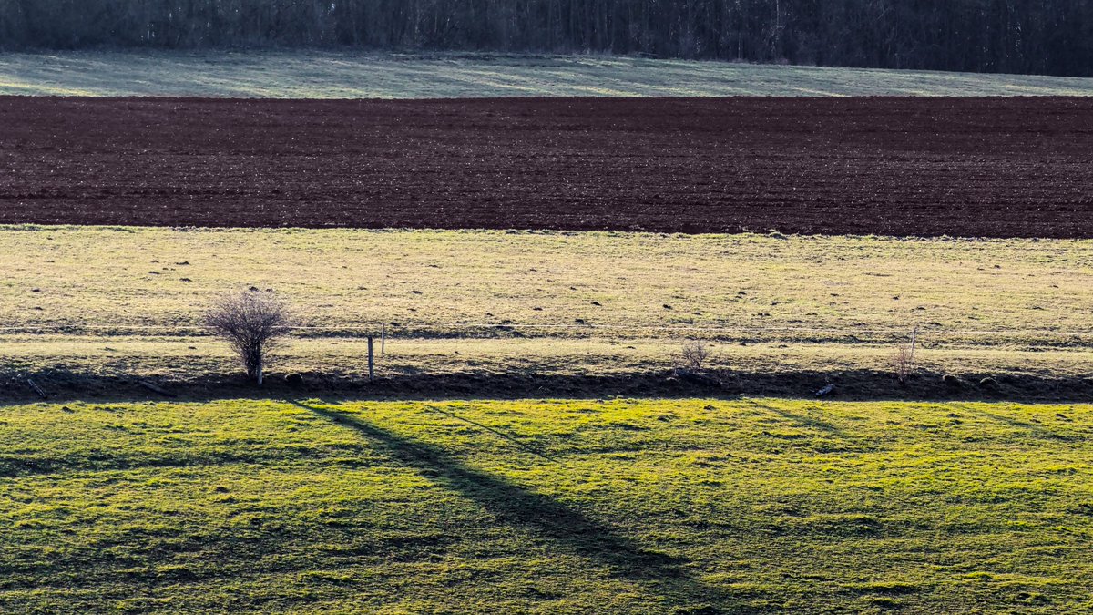 realphotode's tweet photo. "When the sun paints"

new artwork on #Singulart 

https://t.co/K04LtZzm0z

#art #photography https://t.co/RgwrMfmAsH