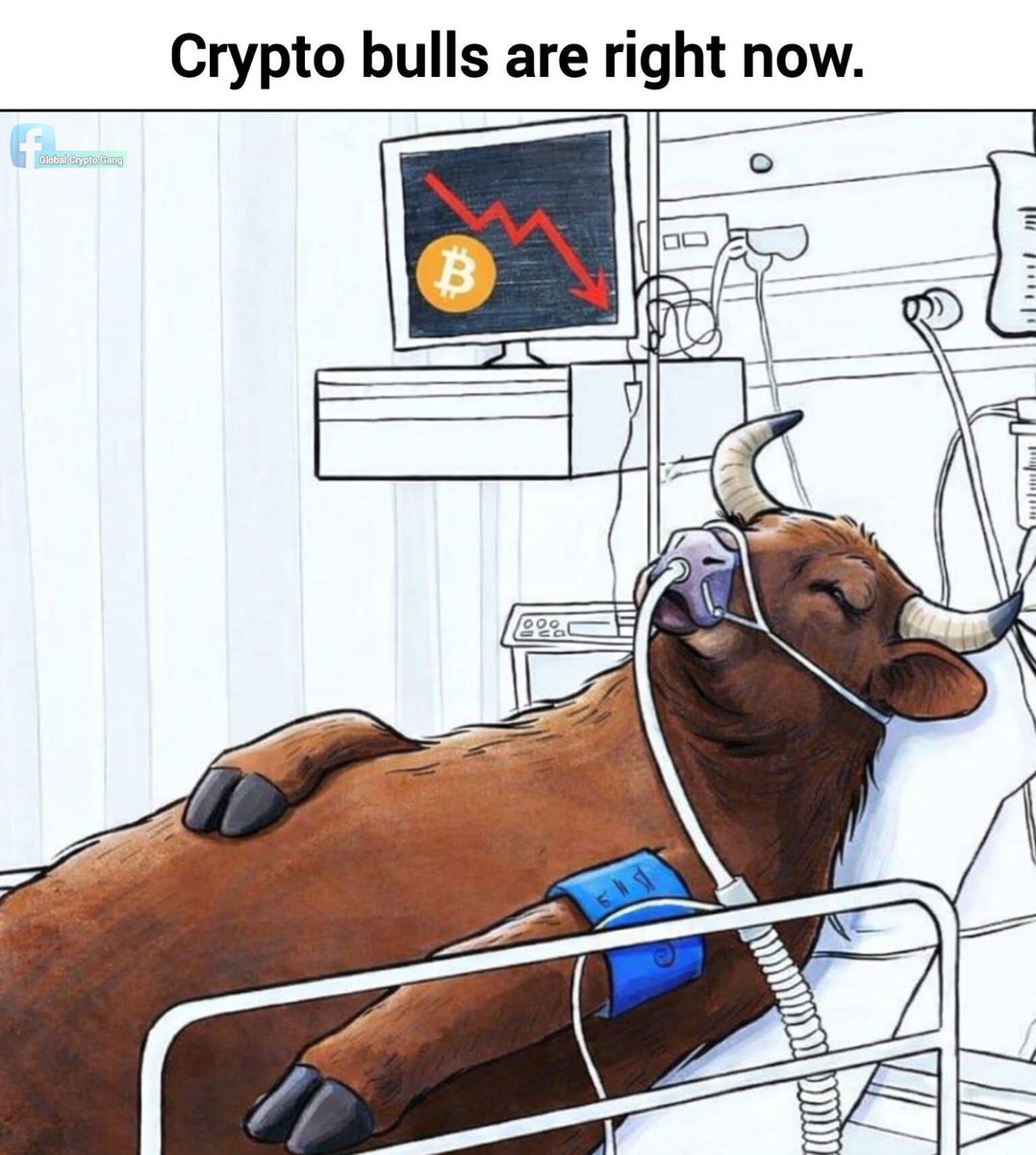 ValutaVault's tweet photo. https://t.co/QugVJS1nfw