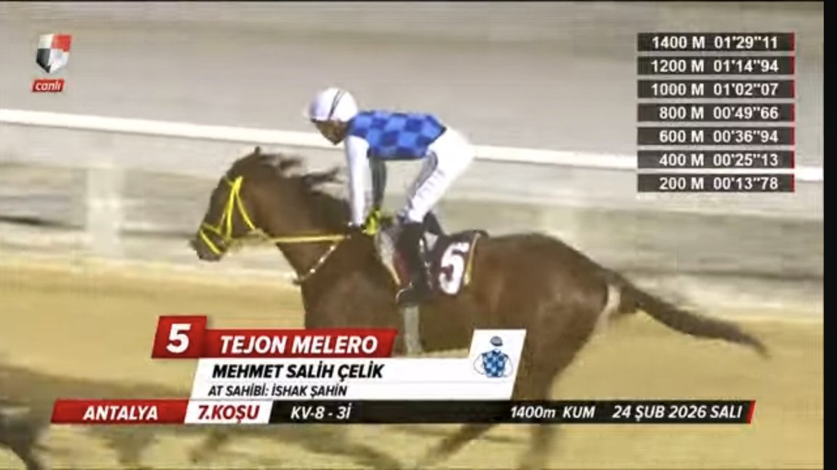 semih katı tweet media