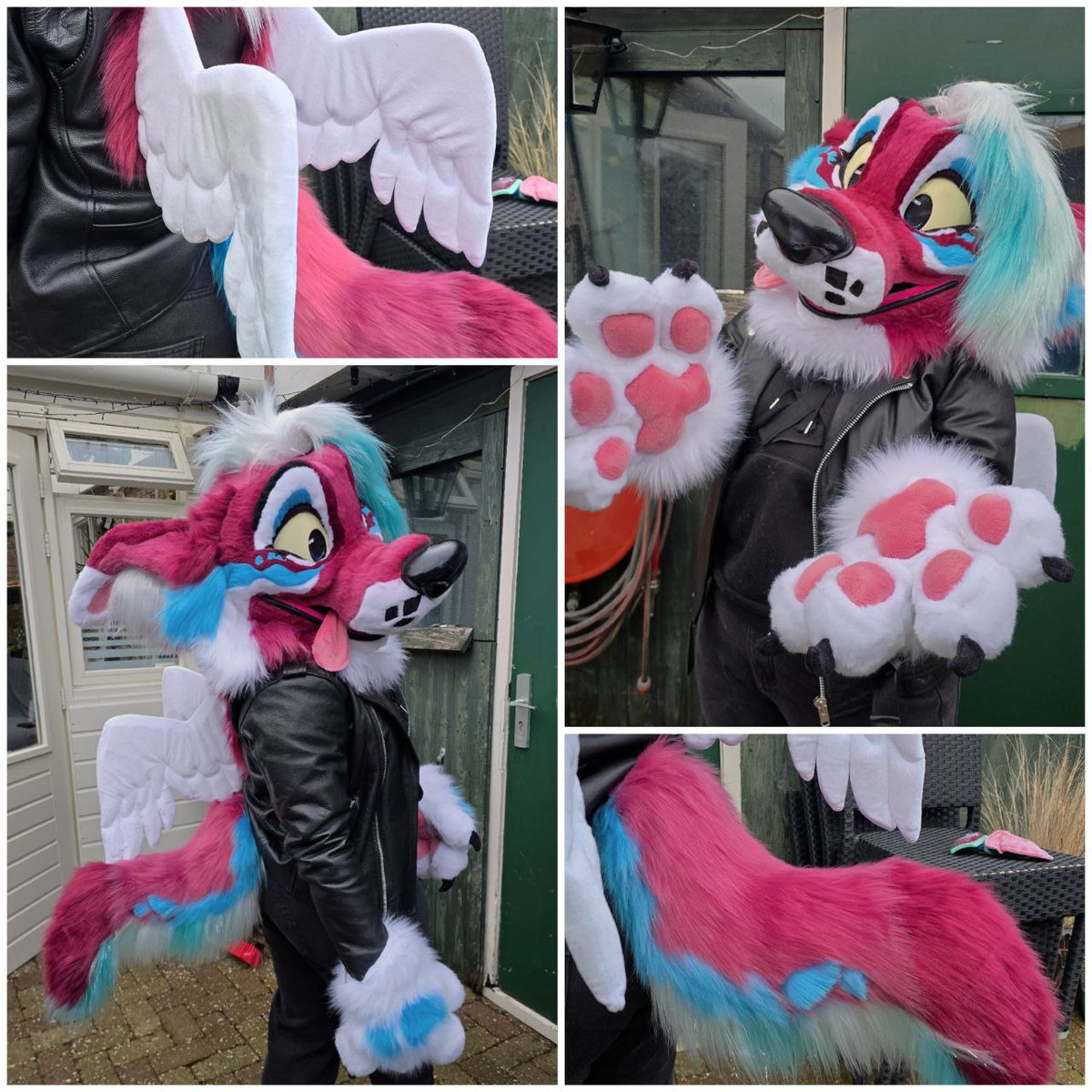 Featheredtrails tweet media