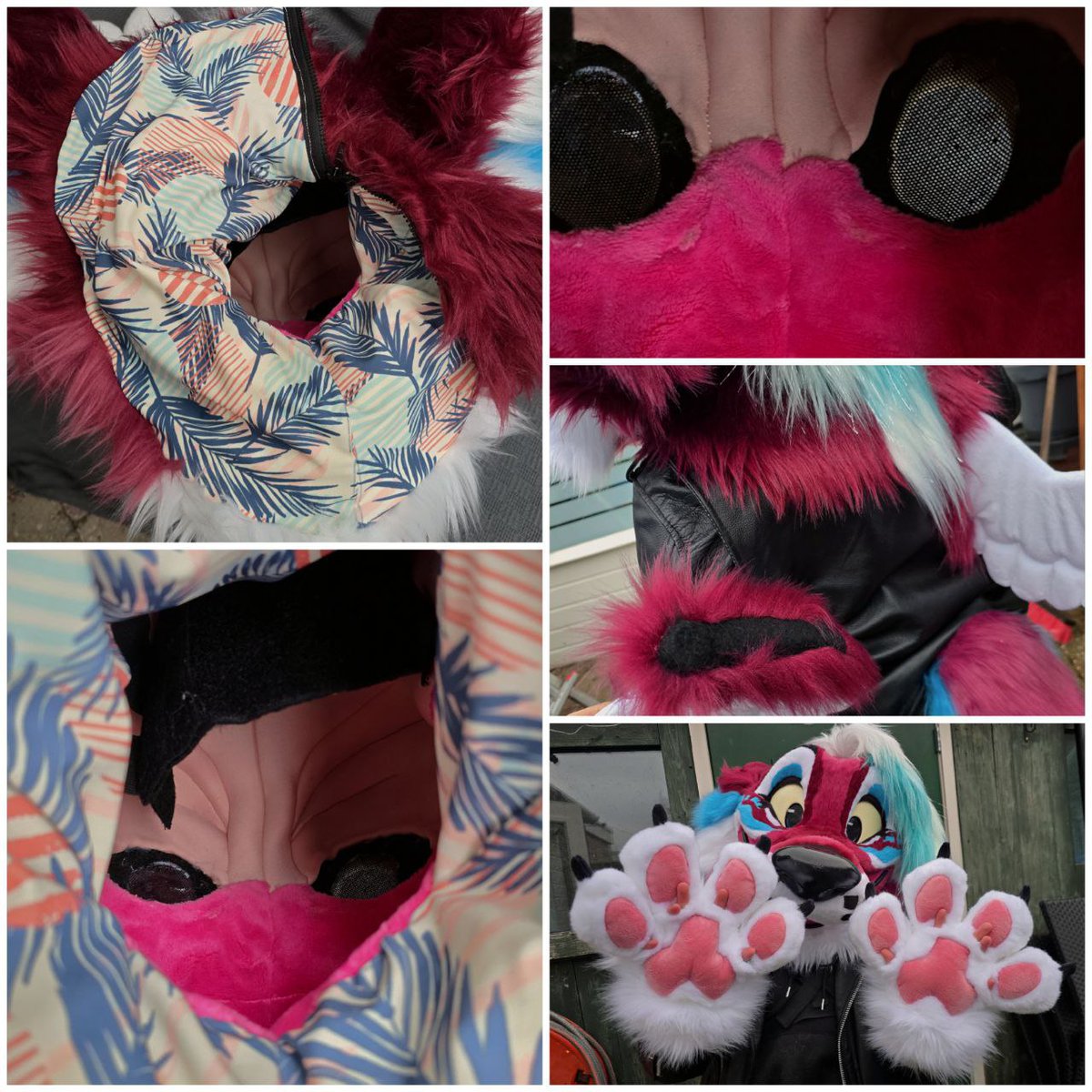 Featheredtrails tweet media