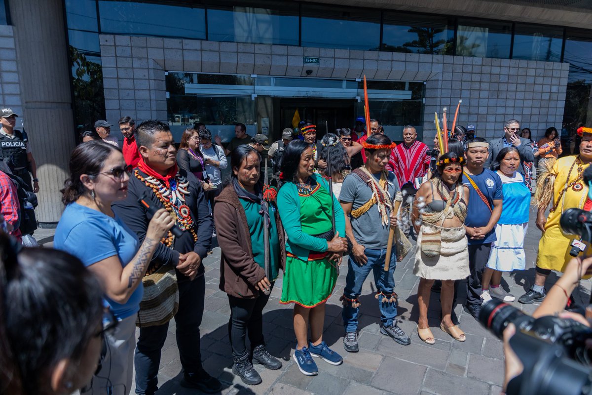 Alianza Ceibo tweet media