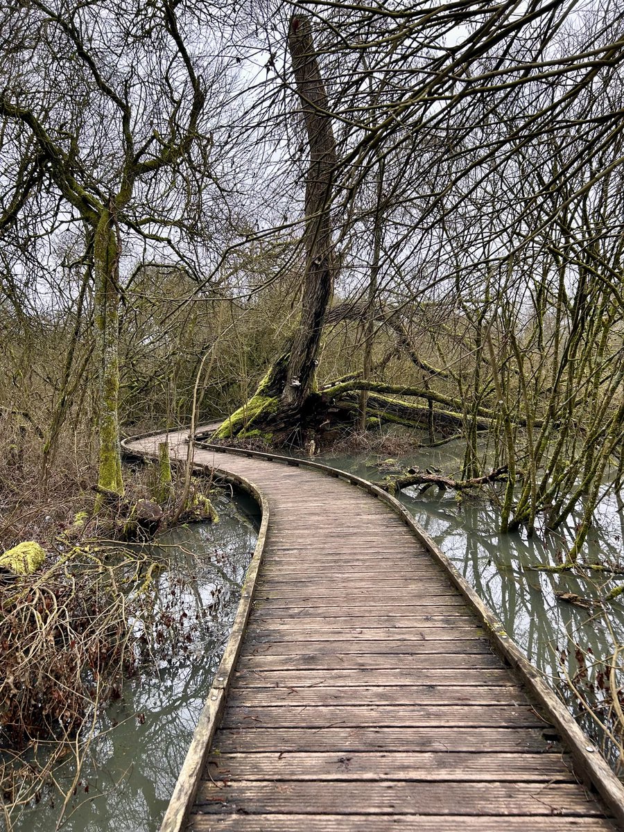 cris 59279 tweet media