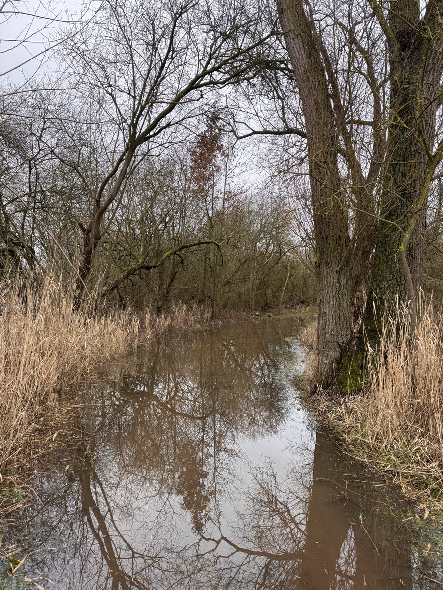 cris 59279 tweet media