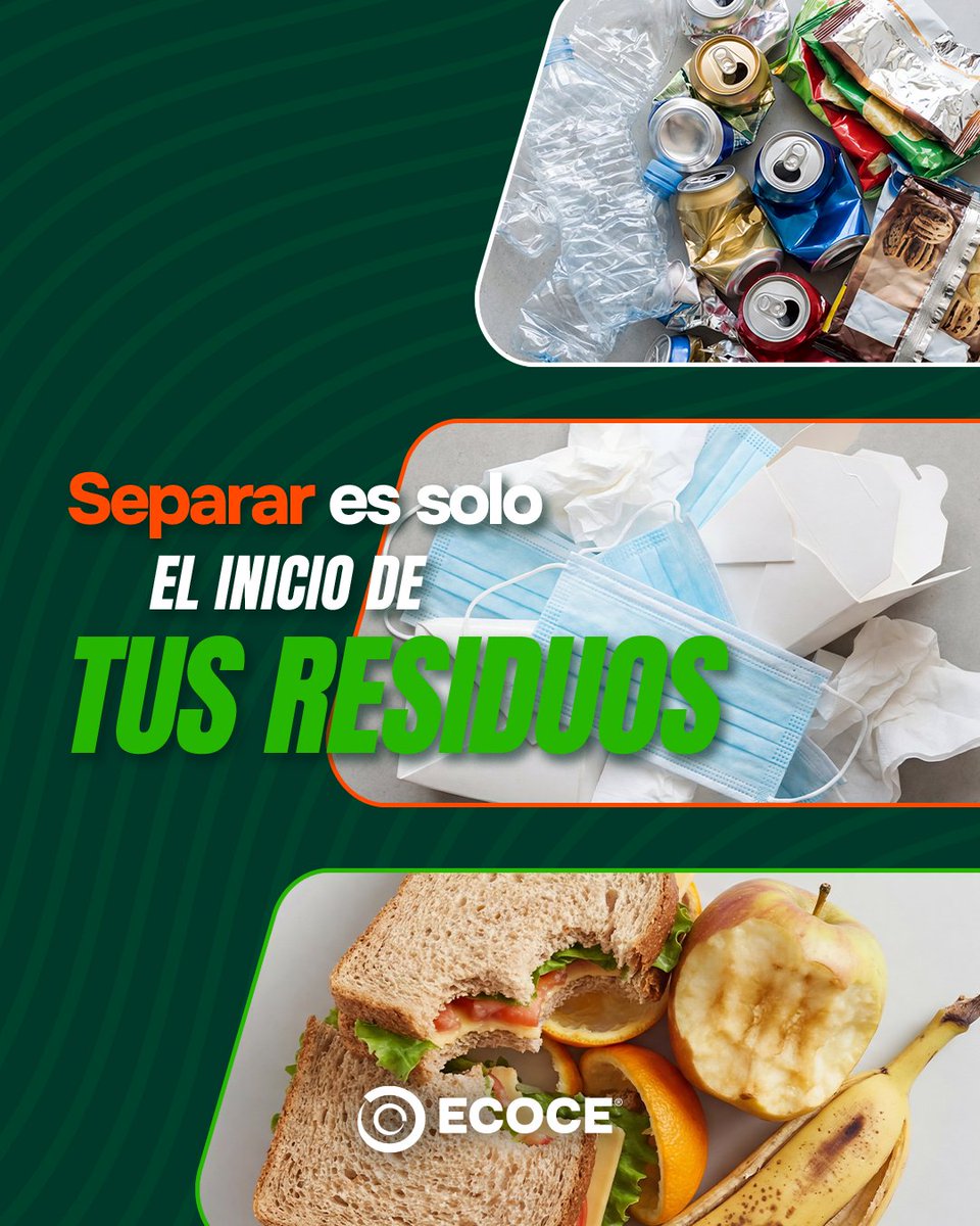 ECOCE A. C. tweet media