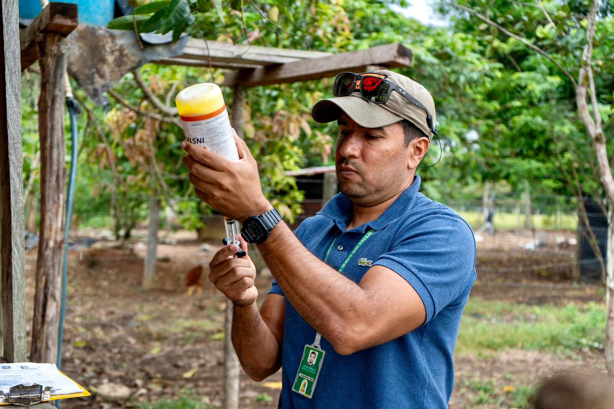 Alcaldía de San Martín De Los Llanos tweet media