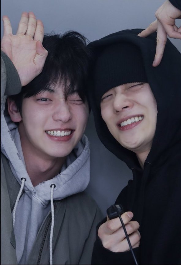 that one duo that dont play about their bunny x fox image