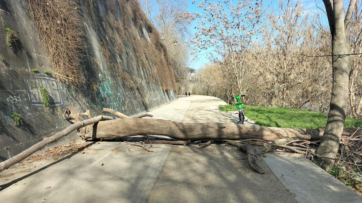 Repubblica Roma tweet media