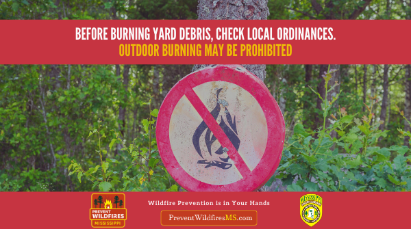 MS Forestry Commission tweet media