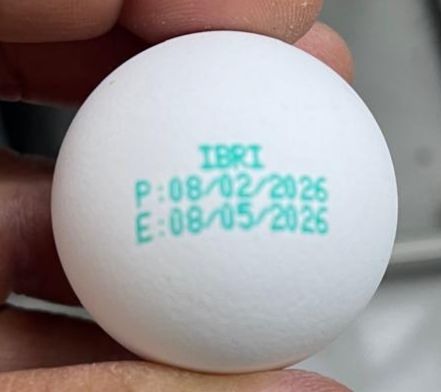 محمد بن سعيد الهنائي tweet media