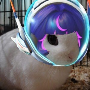 Neivy 🌻✨ tweet media