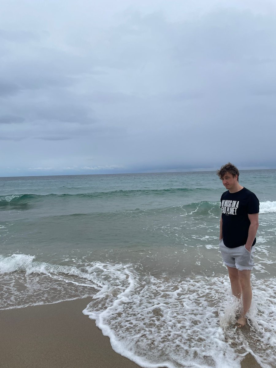 The WOMBATS tweet media