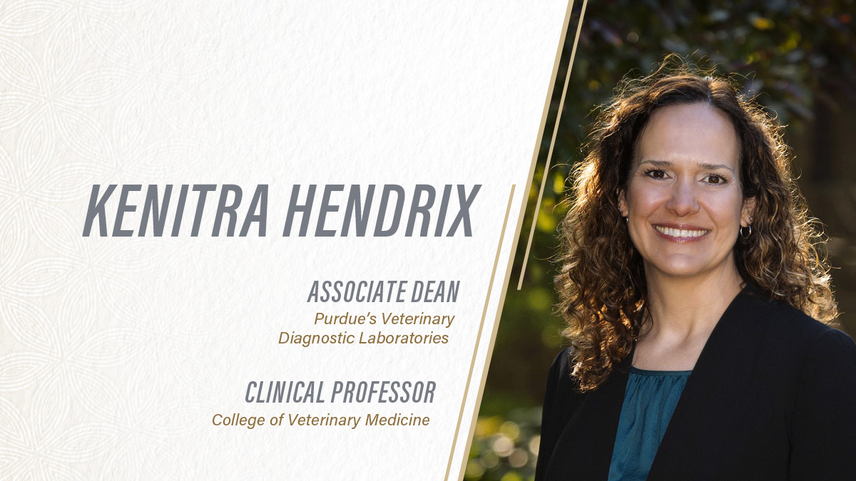 Purdue Alumni tweet media