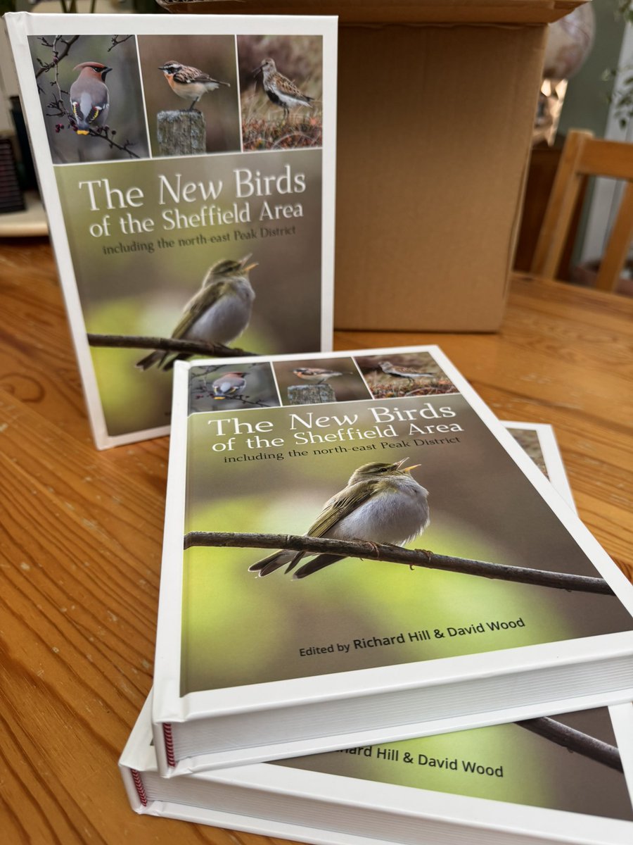 ShefBirdStudyGroup tweet media