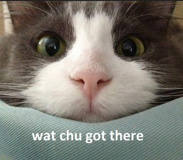 Neoclassic Games - Pre-Odyssey out on Steam! tweet media