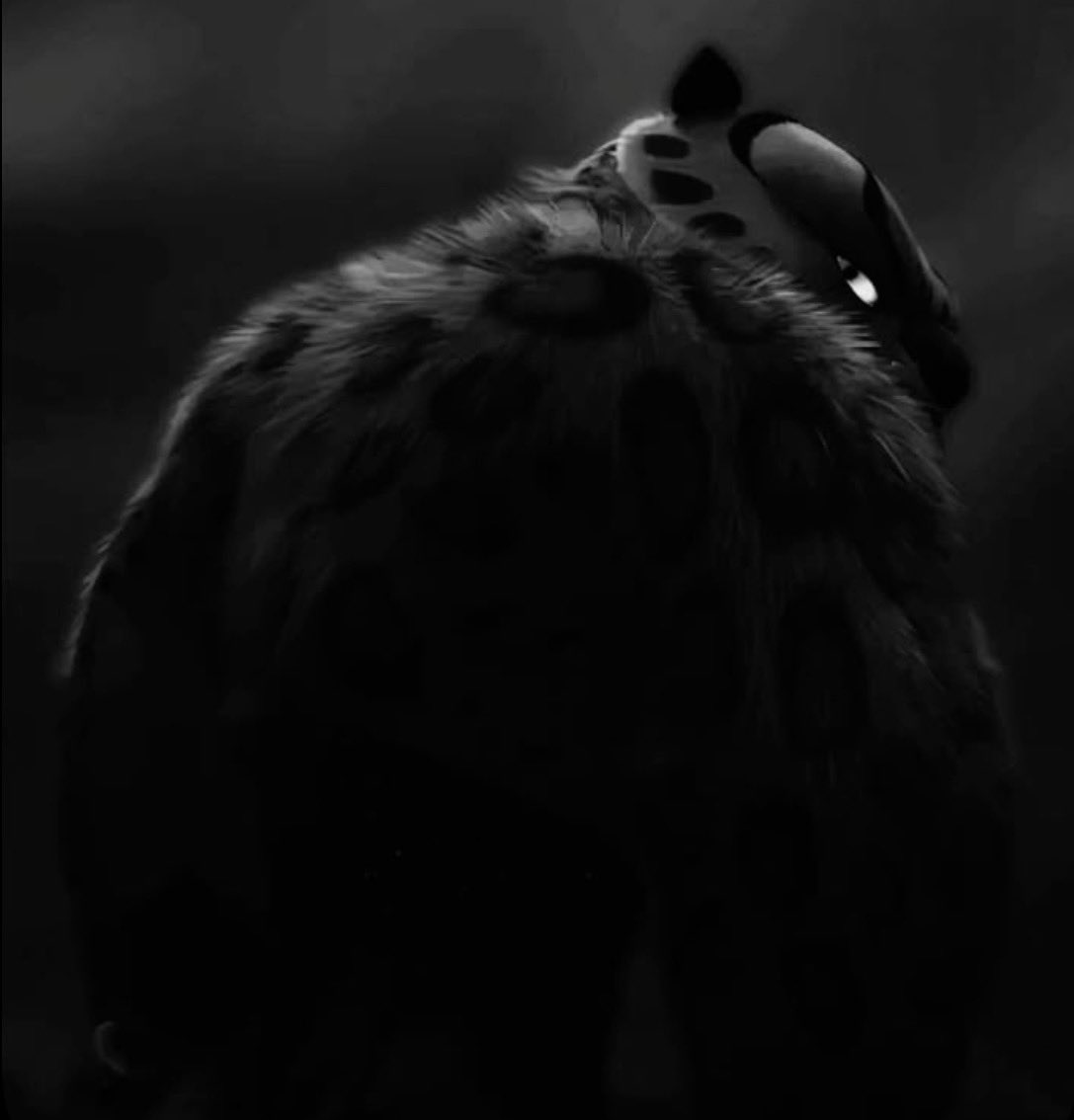 milo🐵 tweet media