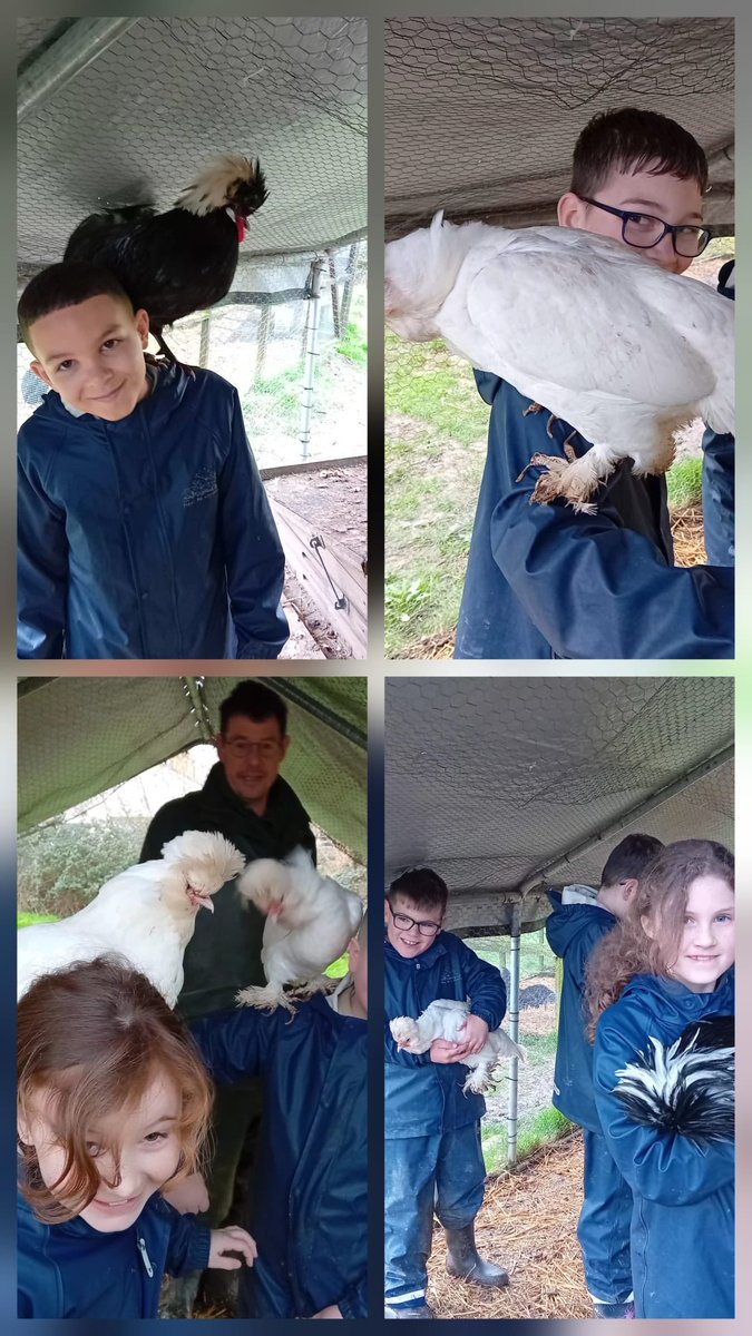 BHallTrips's tweet photo. Group1 chickens and pig weighing!fun had by all. https://t.co/ZiCv3Pct7U