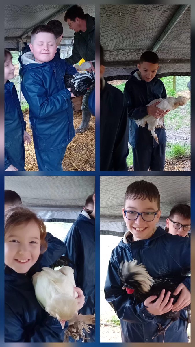 BHallTrips's tweet photo. Group1 chickens and pig weighing!fun had by all. https://t.co/ZiCv3Pct7U