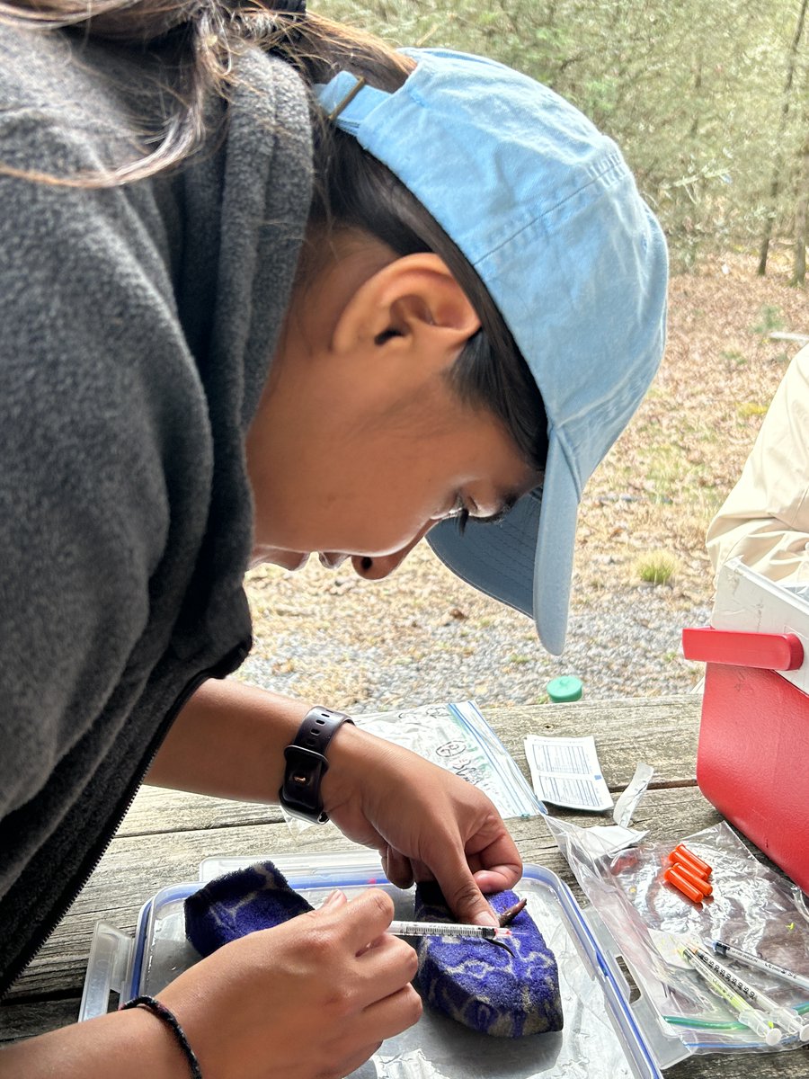 Penn State Biology tweet media