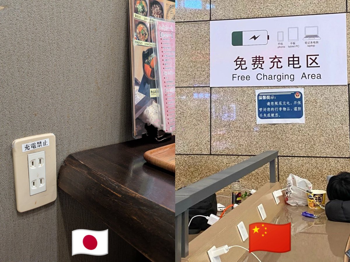 枫糖小猫 tweet media