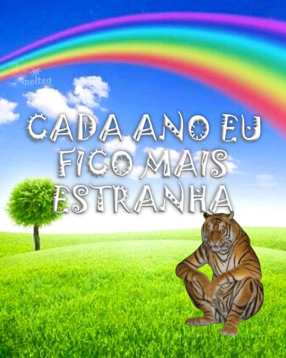 mel (@meltedvideos) on Twitter photo 