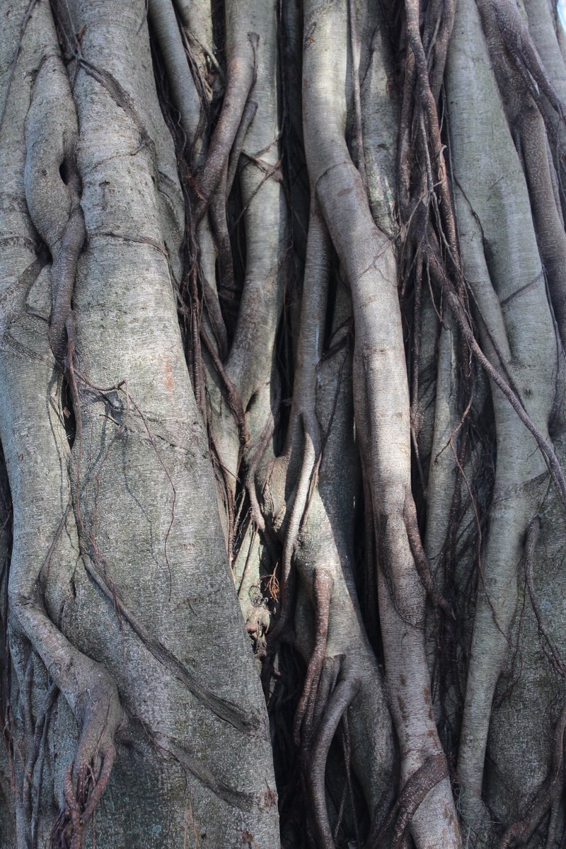 trying to collect as many tiny details as I can