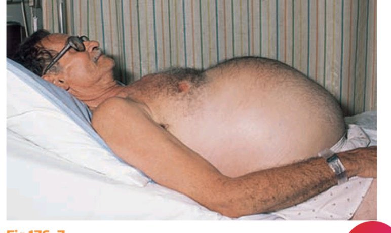 Abdulhamid tweet media