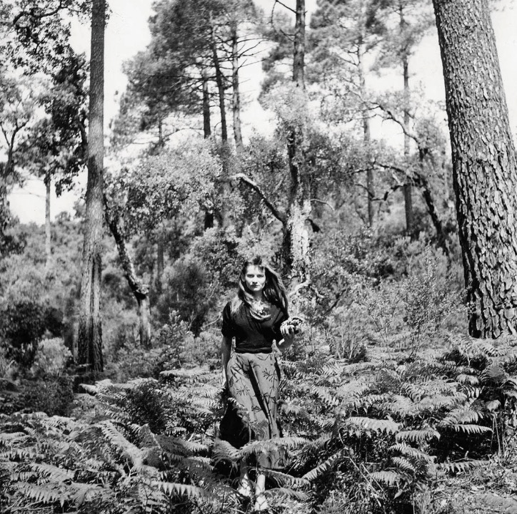 Mere Pseud tweet media