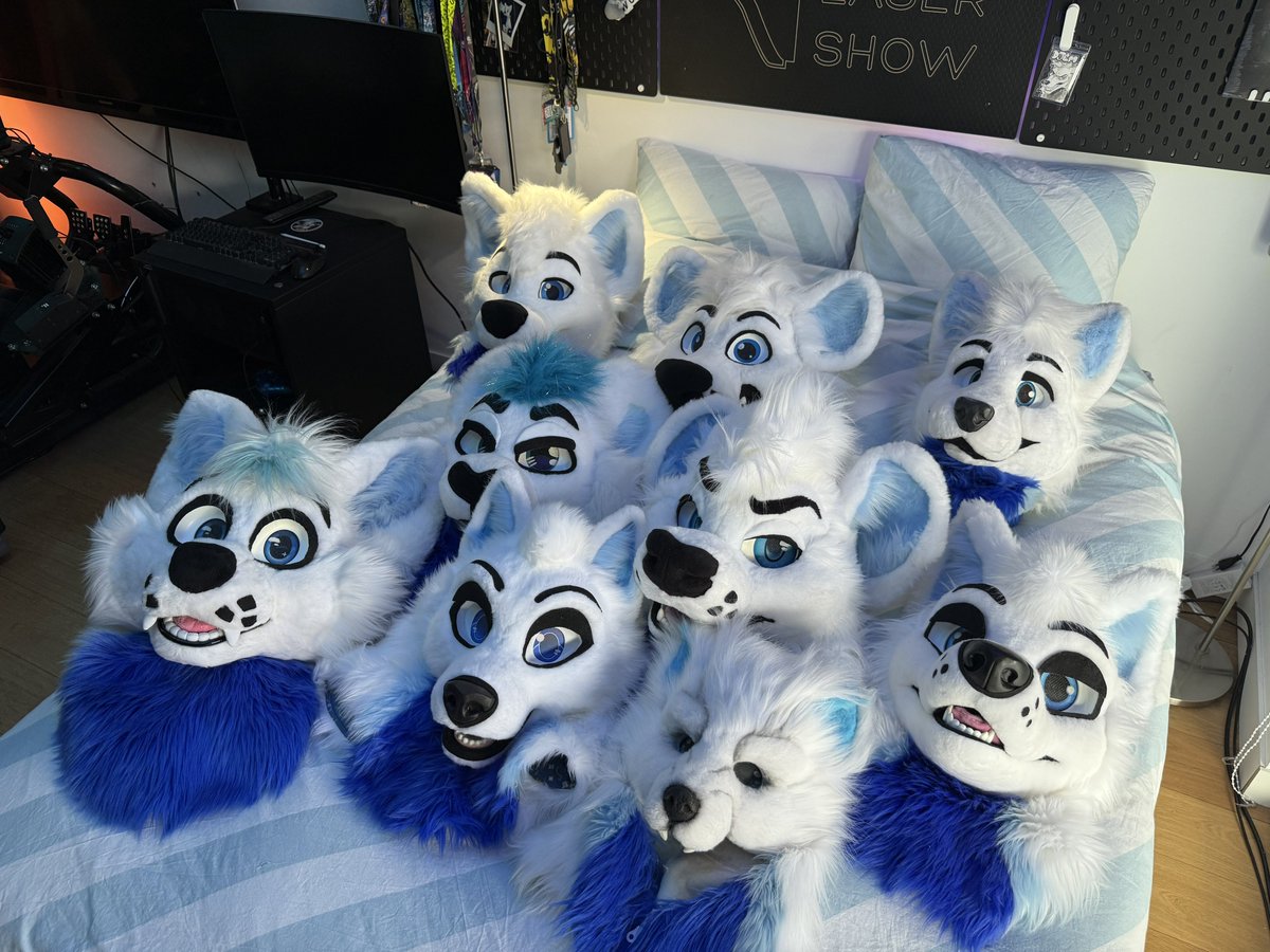 Djem - 🐺 - 🇪🇺 tweet media