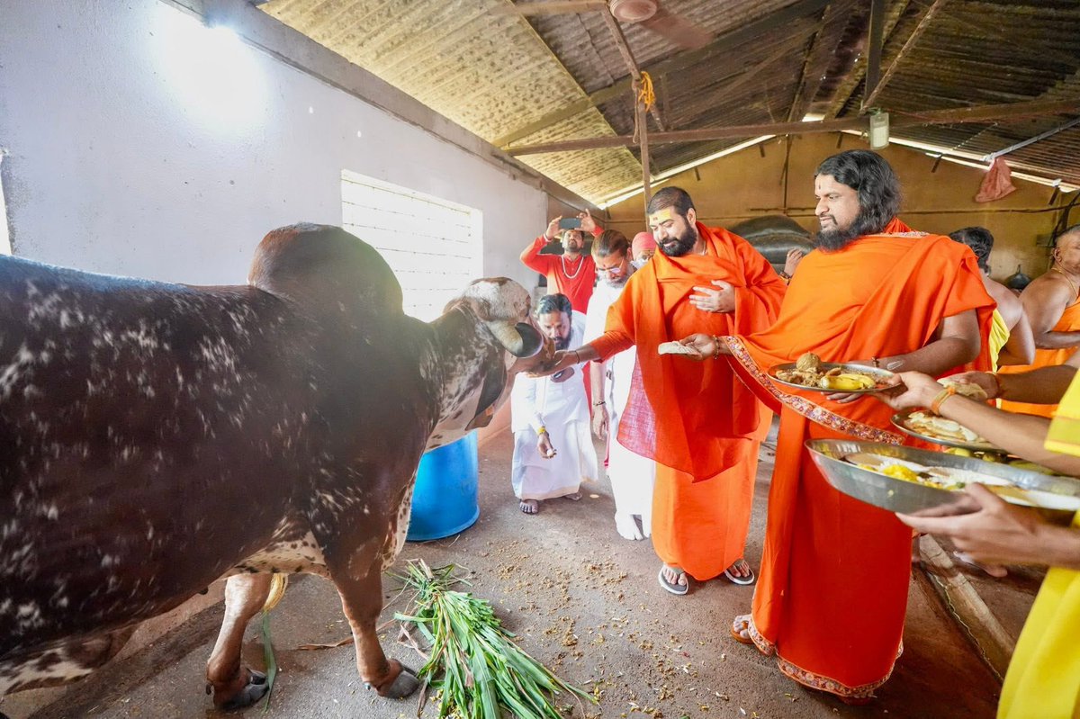 ISpiritualFest's tweet photo. In the divine presence of Padma Shri Sadguru Brahmeshanad Acharya Swamiji and revered saints, a sacred visit to Tapobhoomi Go Shala filled the atmosphere with devotion and the spirit of Gau Seva, reflecting deep reverence for Gau Mata and the timeless values of Sanatan Dharma.

On this most auspicious day, Gau Mata gave birth to a newborn calf — a truly special and joyous moment. With the Go Sukta Swahakar Yadnya and Purnahuti performed by saint-mahants, the Goa Spiritual Festival 2026 concluded on a profoundly divine note.