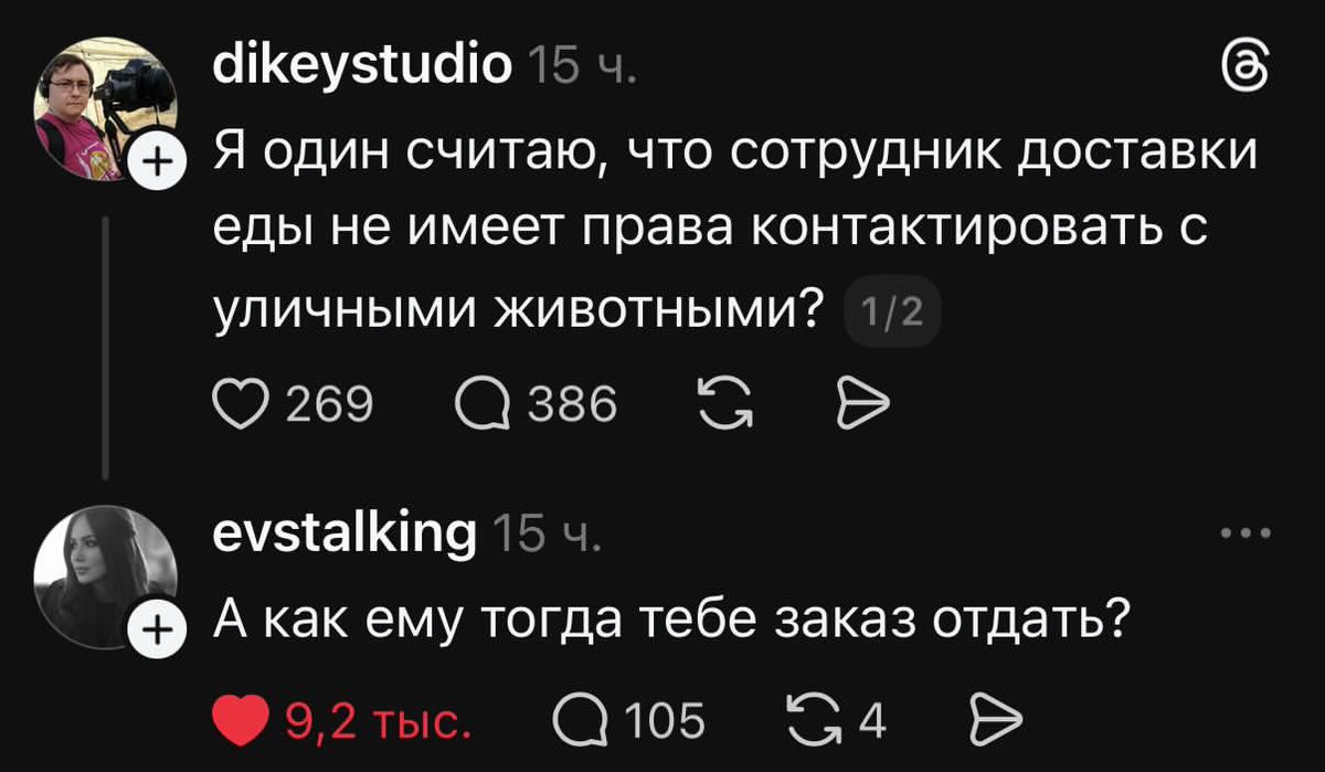 Sophie Ptichka tweet media