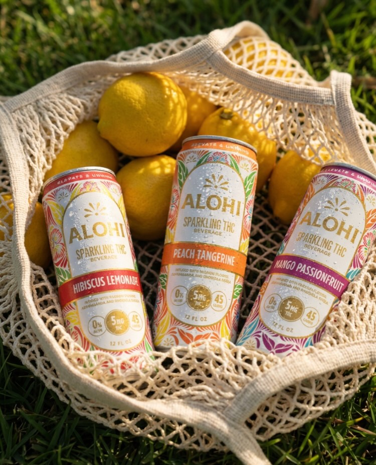 Natasha Koifman tweet media