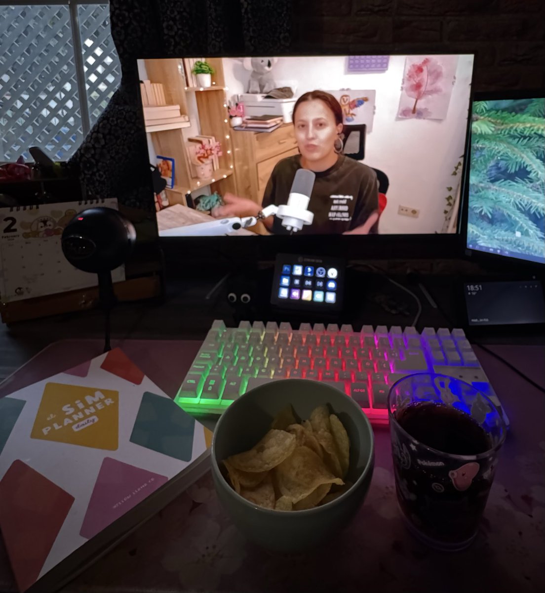 Nymeria (Nysims) tweet media