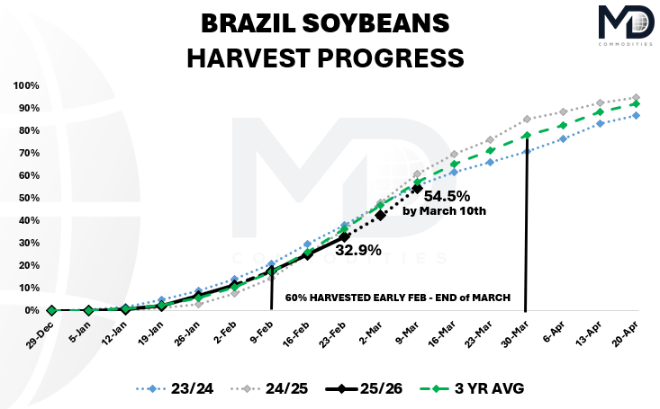 Pedro H Dejneka tweet media