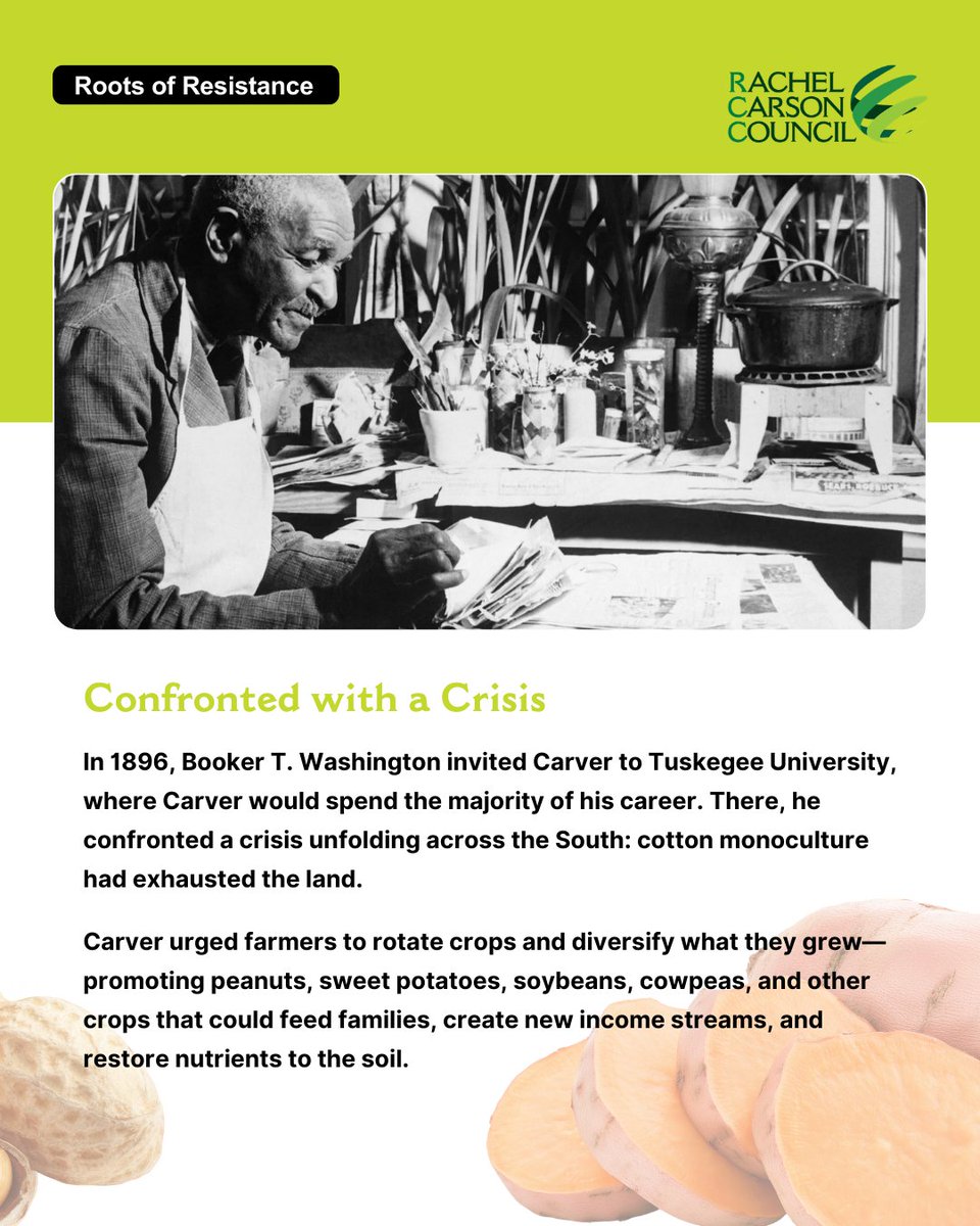 Rachel Carson Council tweet media