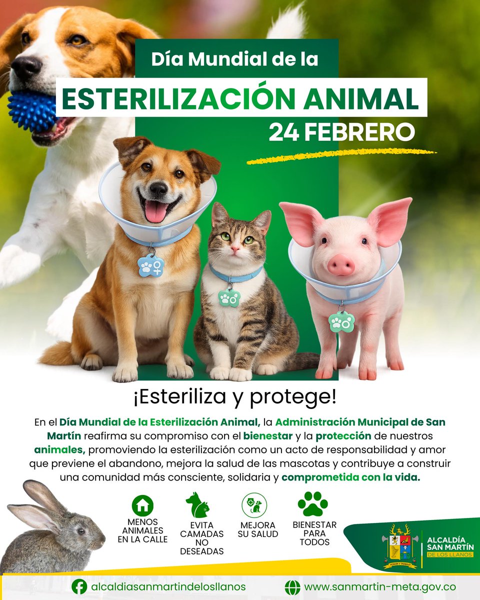 Alcaldía de San Martín De Los Llanos tweet media