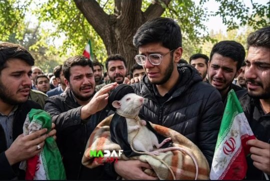 dokhie_jasor's tweet photo. موشعلی آسوده بخواب که کص مشنگات بیدارن
😂😂✌🏻
جاوید شاه. 
#KingRezaPahlavi 
#IranMassacre https://t.co/oMtSxp9jQV