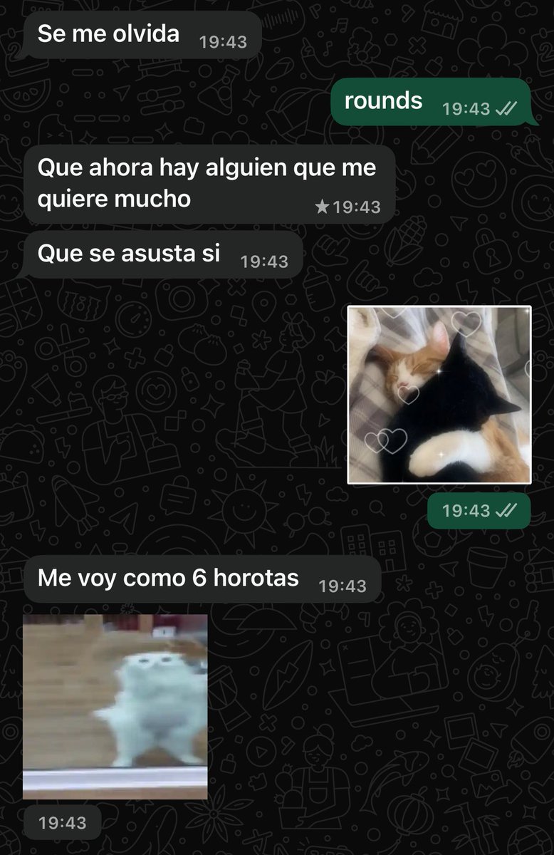 Cheets4ever's tweet photo. felizmente se acordo https://t.co/2s2FKiOqTO