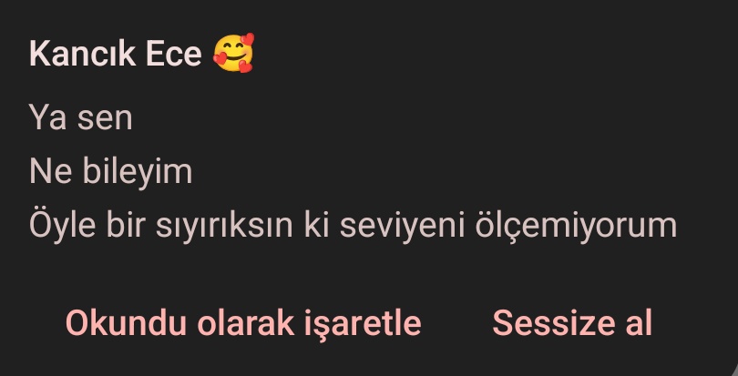 Ruhe ⚜ tweet media