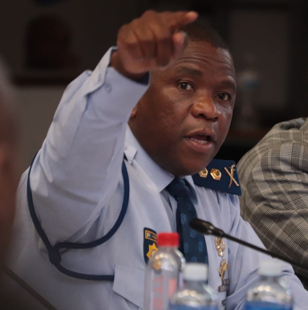 General Nhlanhla Mkhwanazi ✊🏿🤜🏿 #MadlangaCommission #madlangacommision #Madlangacomission #MadlangaInquiry