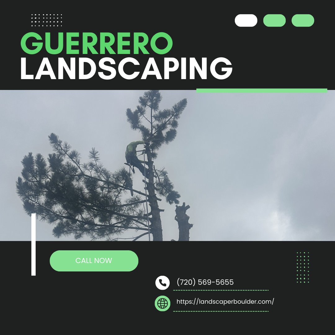 Landscape_gu's tweet photo. Healthy, beautiful trees start with careful attention. Our skilled tree trimming maintains safety while enhancing your landscape's look. Schedule a tree trimming session today!
#TreeTrimming
https://t.co/gsQOnUrw9v https://t.co/nl9xNfcKwH