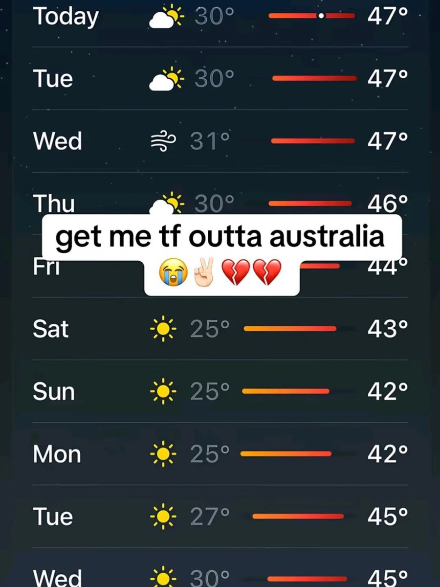 Braindead Bird App tweet media
