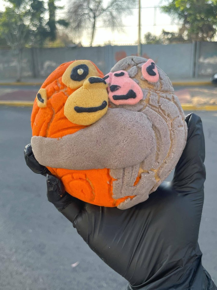 La ConChanguitos es Real 😂
 -Mexico: 1 
-IA: 0