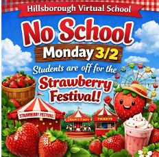 Hillsborough Virtual School tweet media