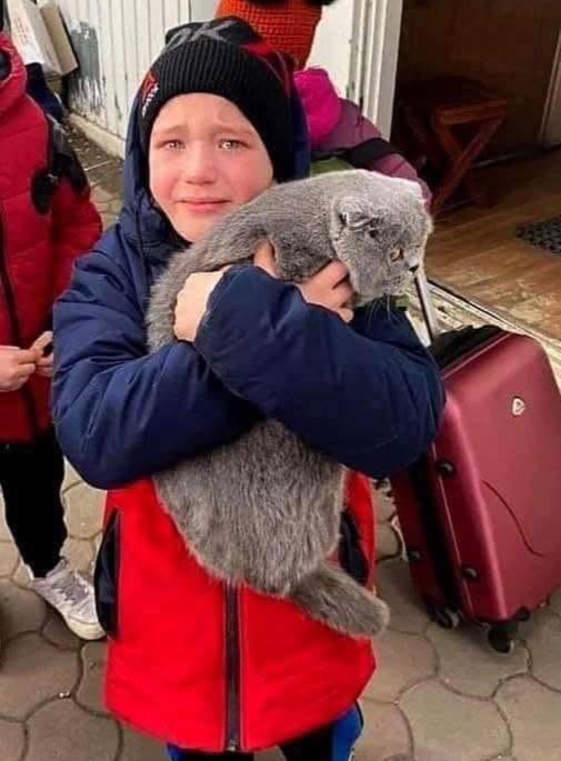 Olena Rohoza tweet media