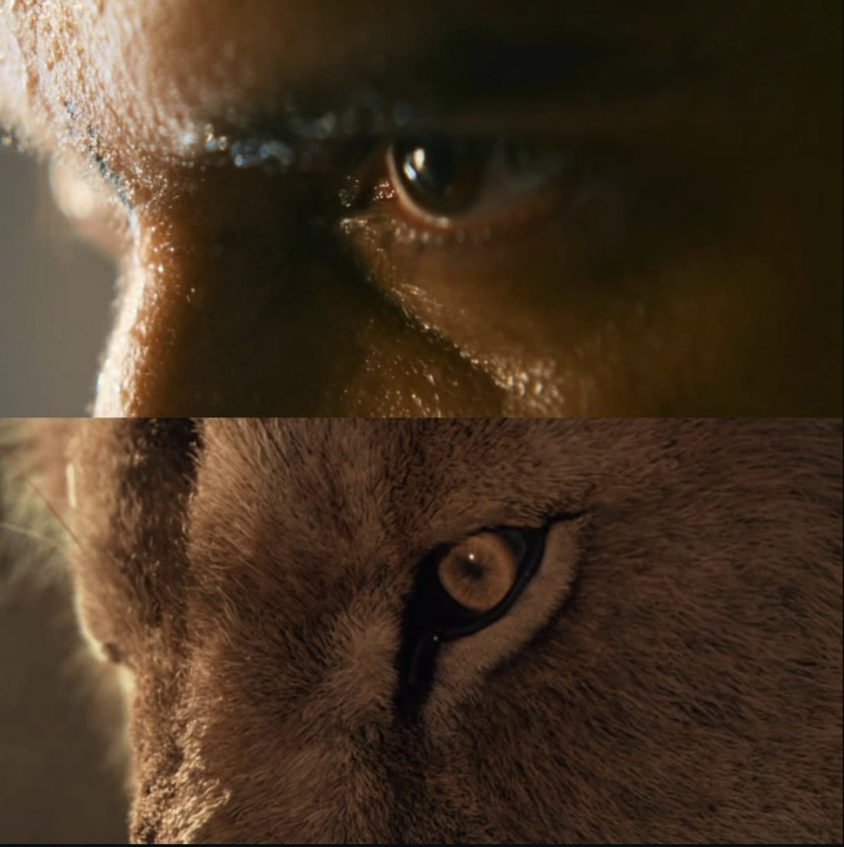 ghani_545's tweet photo. I See No Difference 🙌🏻💥
#theparadise #aayasher https://t.co/IACjBCOEpq