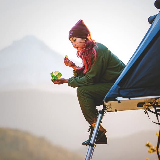 Real fruit. Real moments.

Whether you’re chasing sunsets or just catching your breath, Wyld fits the view.

#thegoodlife #arizona #mesa #welcomehome #goodvibes #vendorvillage