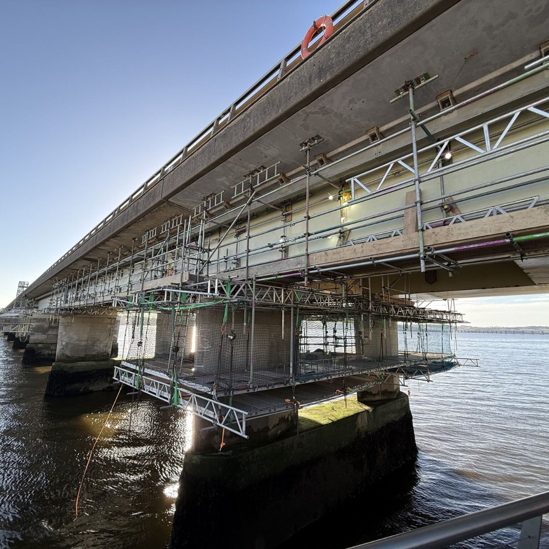 CreatorScaffDesigns tweet media