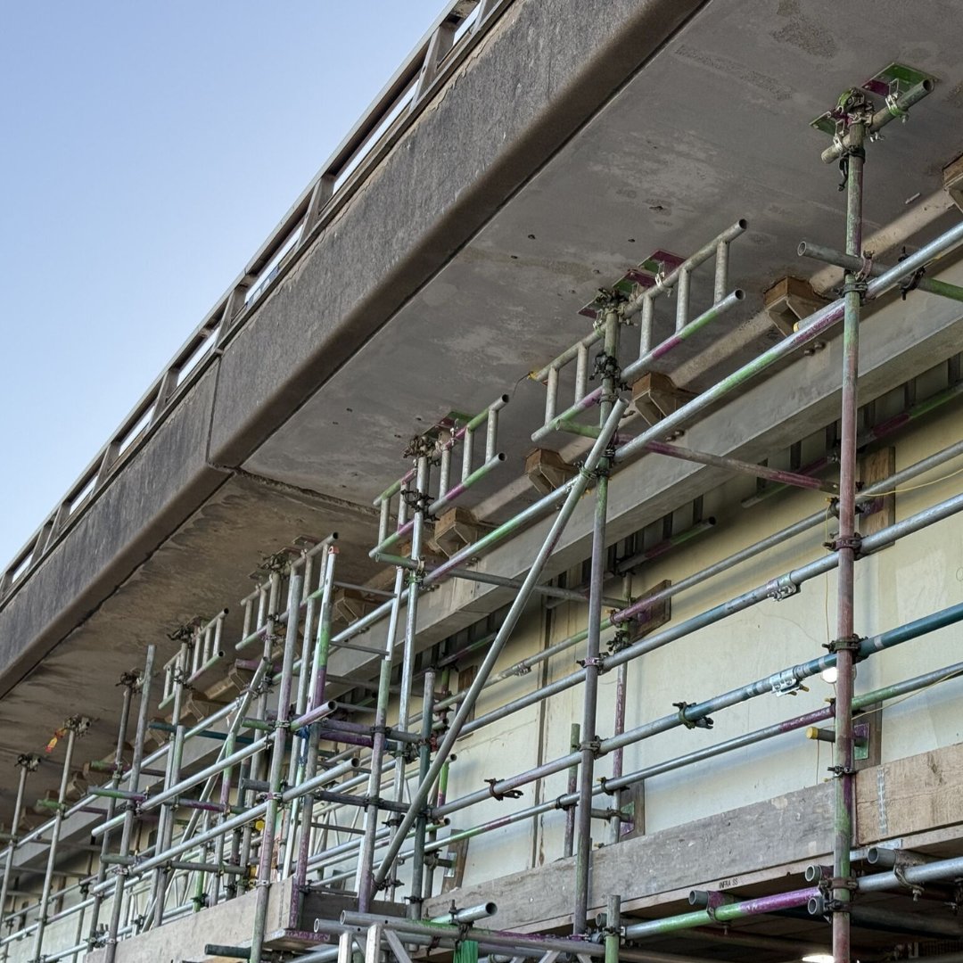 CreatorScaffDesigns tweet media